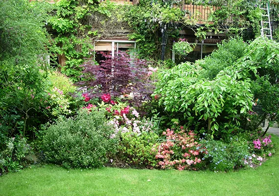 Lush cottage-style garden with colourful flower beds and lawn