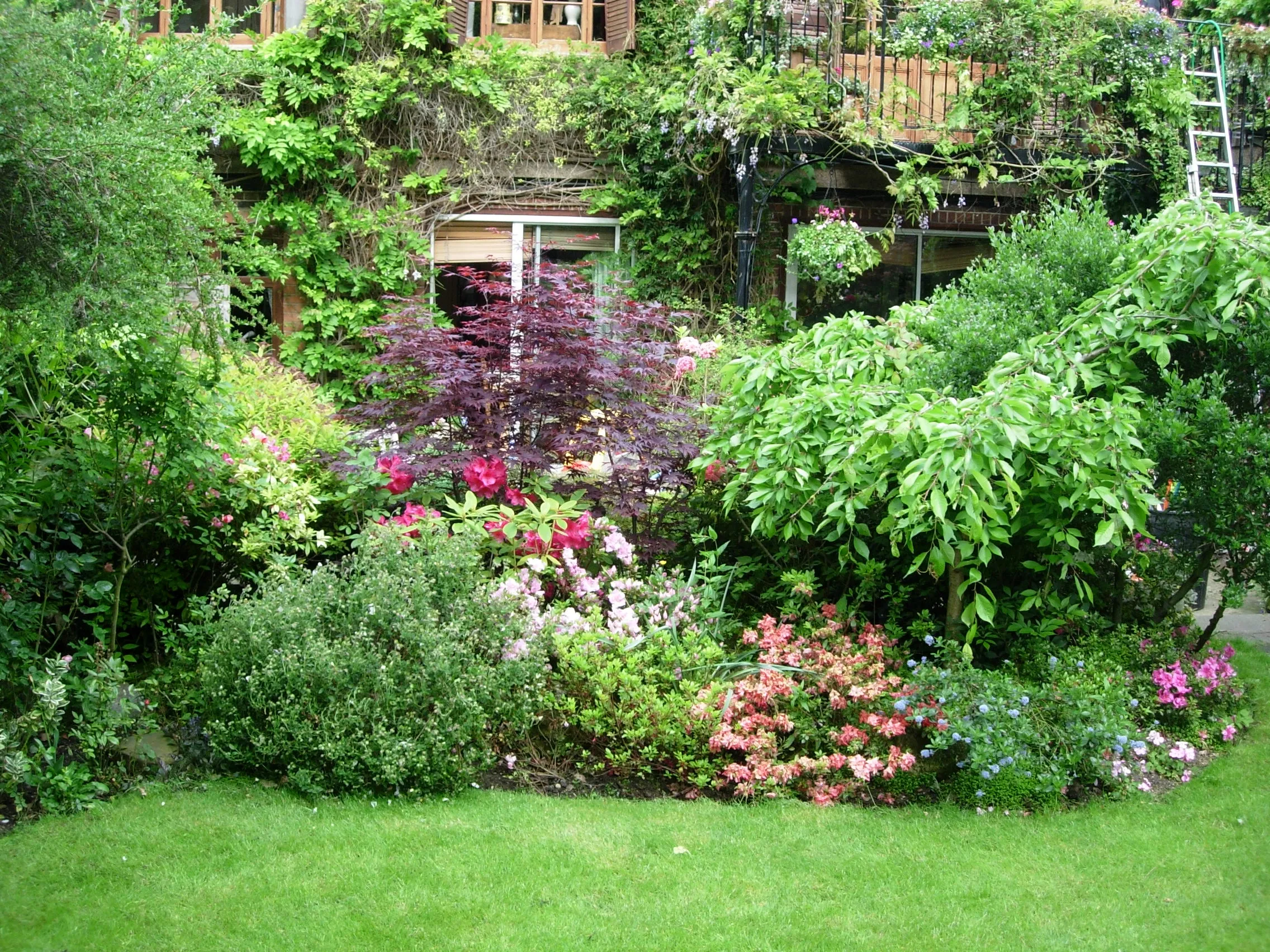 A lush North London garden created by The Landscape Gardener