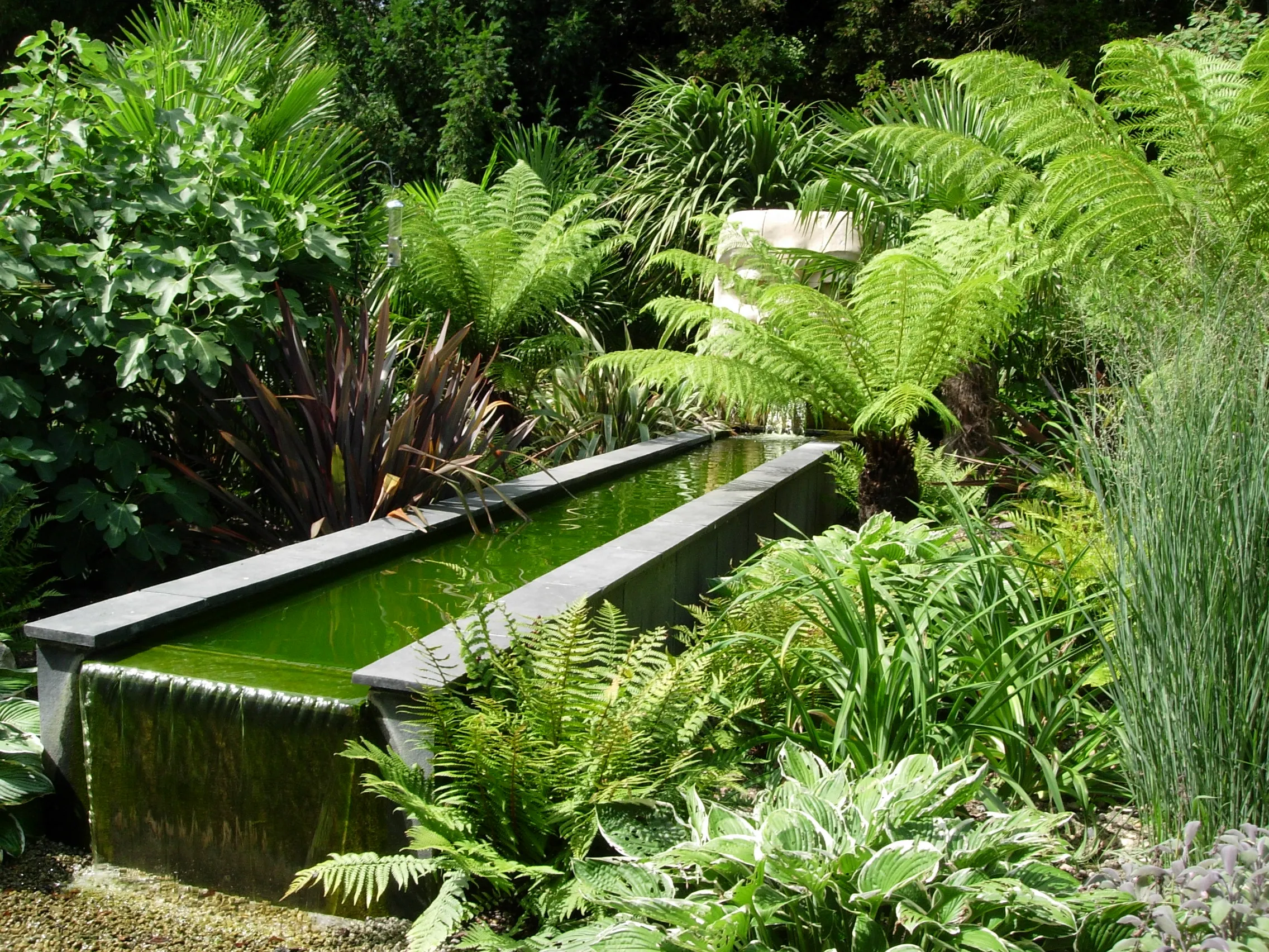 A water feature surrounded by lush, shade-tolerant fern planting