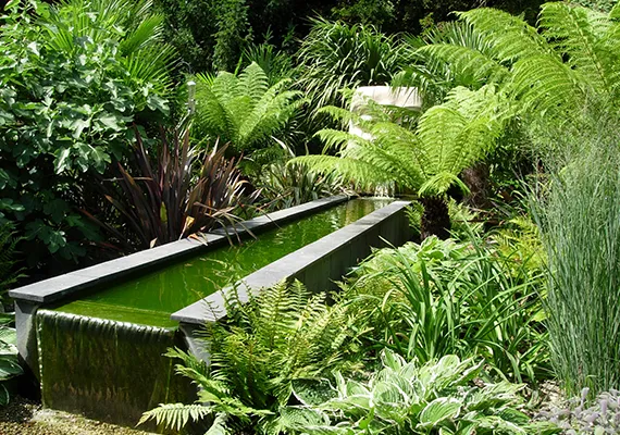 Limestone water feature surrounded by lush fern planting